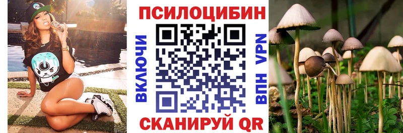 Псилоцибиновые грибы Magic Shrooms  Севск 